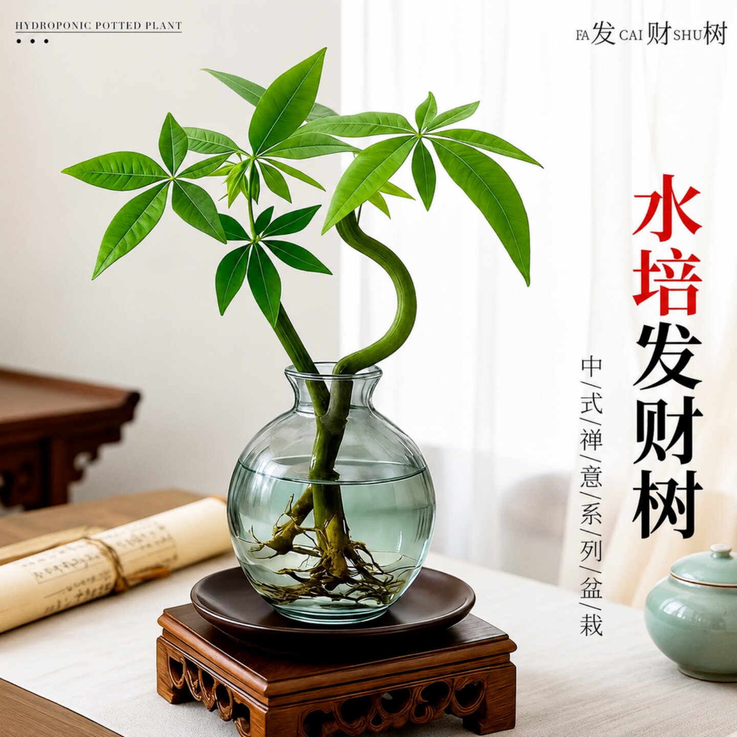 水培发财树室内盆栽好养图片