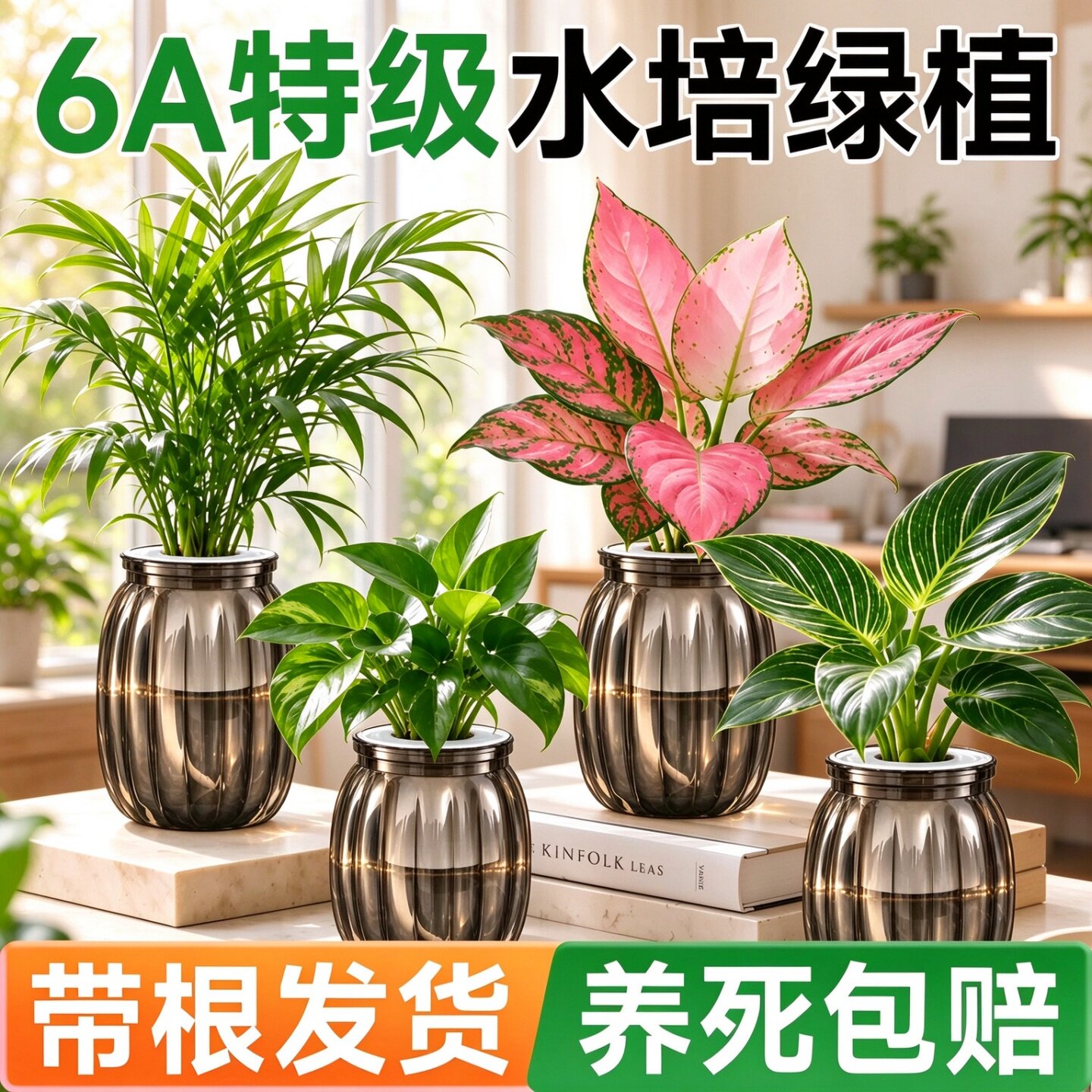 室内桌面水培绿植盆栽四季好养办公室装饰绿萝文竹小型观赏植物