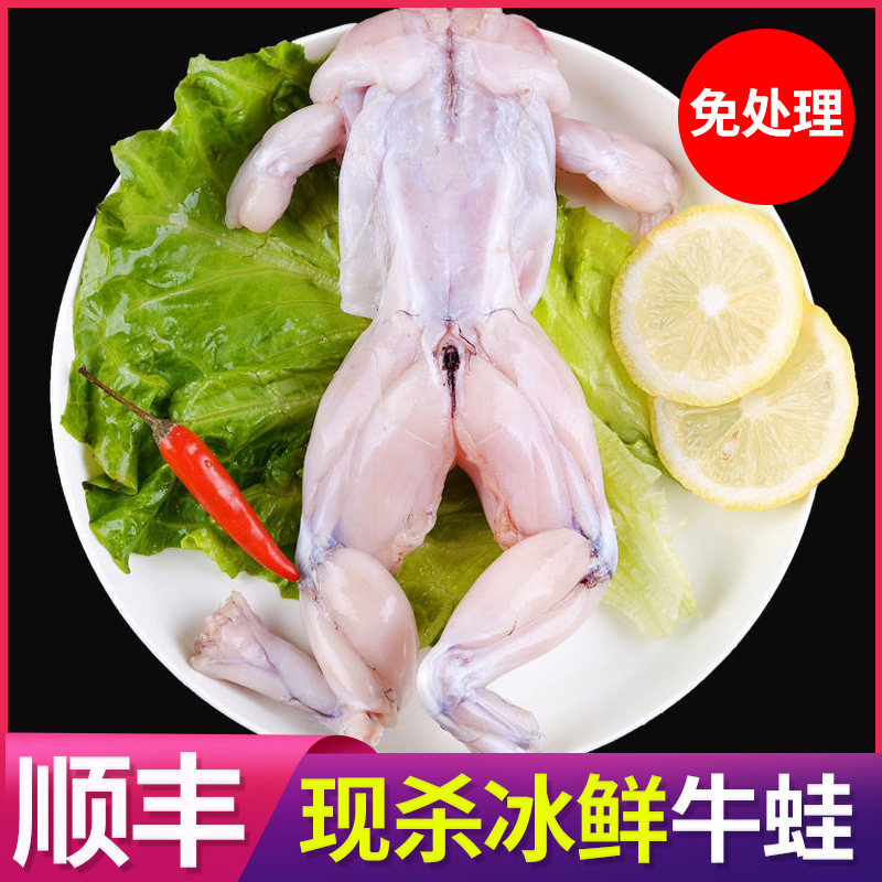 牛蛙鲜活新鲜特大田鸡蛙肉半成品牛蛙腿牛蛙肉冷冻商用石蛙批发属于什么档次？