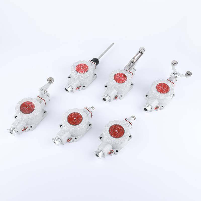 防爆行程开关限位B型DLXKLX5-15B/5d脚踏双踏柱塞lx5-D滚轮ZEX