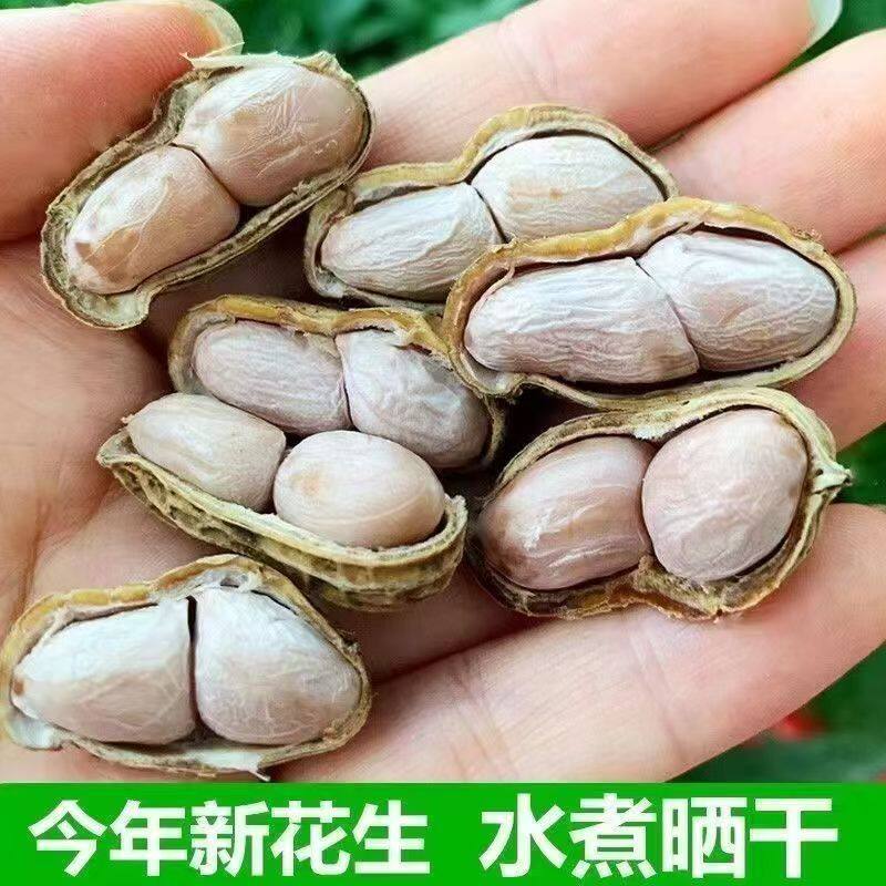 新货龙岩特产水煮白晒咸干湿烤带壳花生蒜香五香咸干原味花生米