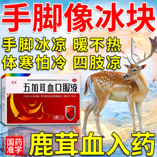 阳气不足手脚冰凉调理冬天体寒怕冷男女肾阳虚中药五加茸血口服液
