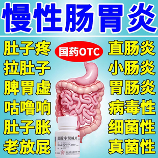 治疗肠胃炎的药慢性止痛肠胃用药治疗肠炎特新效药盐酸小檗碱片