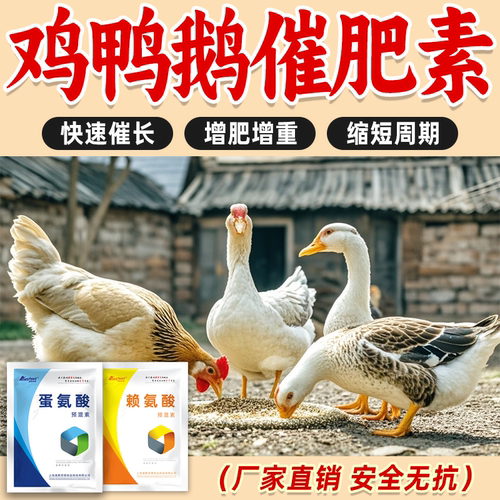 鸡鸭鹅鸽催肥增重促生长提前出栏