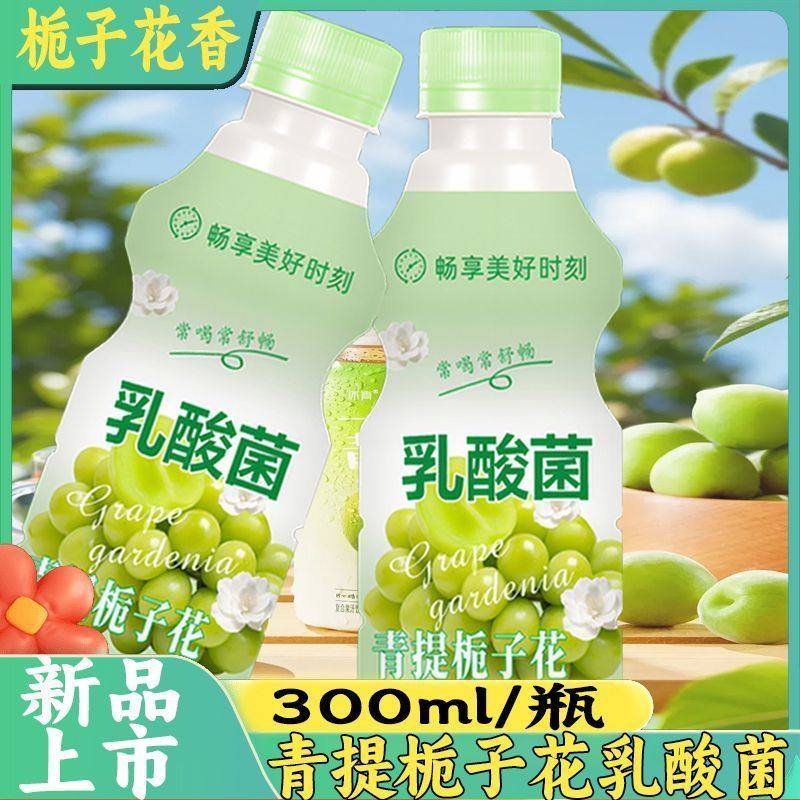 新店大促青提栀子味乳酸菌果味饮品整箱现货速发瓶装冬季家庭聚餐,咖啡/麦片/冲饮,含乳饮料,淘宝优惠券,粉丝福利购,淘宝优惠卷