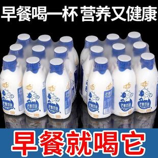 厂家福利 老酸奶味饮料原味早餐奶宿舍常备秋冬季 整箱特价 批9瓶装