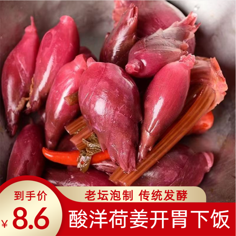 酸洋荷姜腌制泡菜新鲜阳荷姜洋火姜陕南安康土特产下饭菜湖北恩施