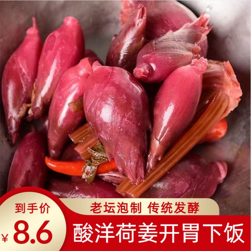 酸洋荷姜腌制泡菜新鲜阳荷姜洋火姜陕南安康土特产下饭菜湖北恩施