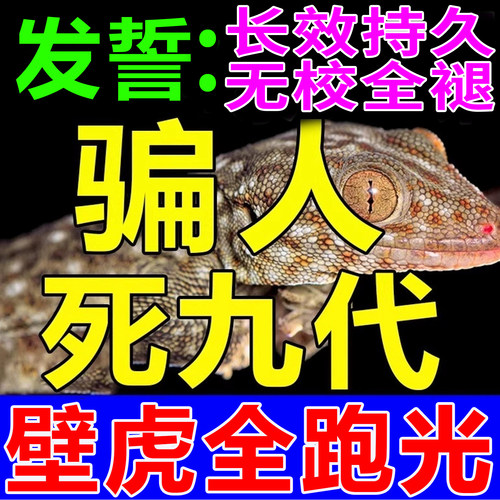 一放无壁虎】壁虎驱赶神器永不来
