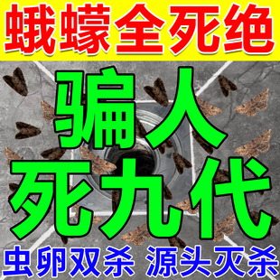 下水道小飞虫灭杀神器厕所卫生间杀虫剂厨房蛾蠓幼虫卵杀拜除臭耳