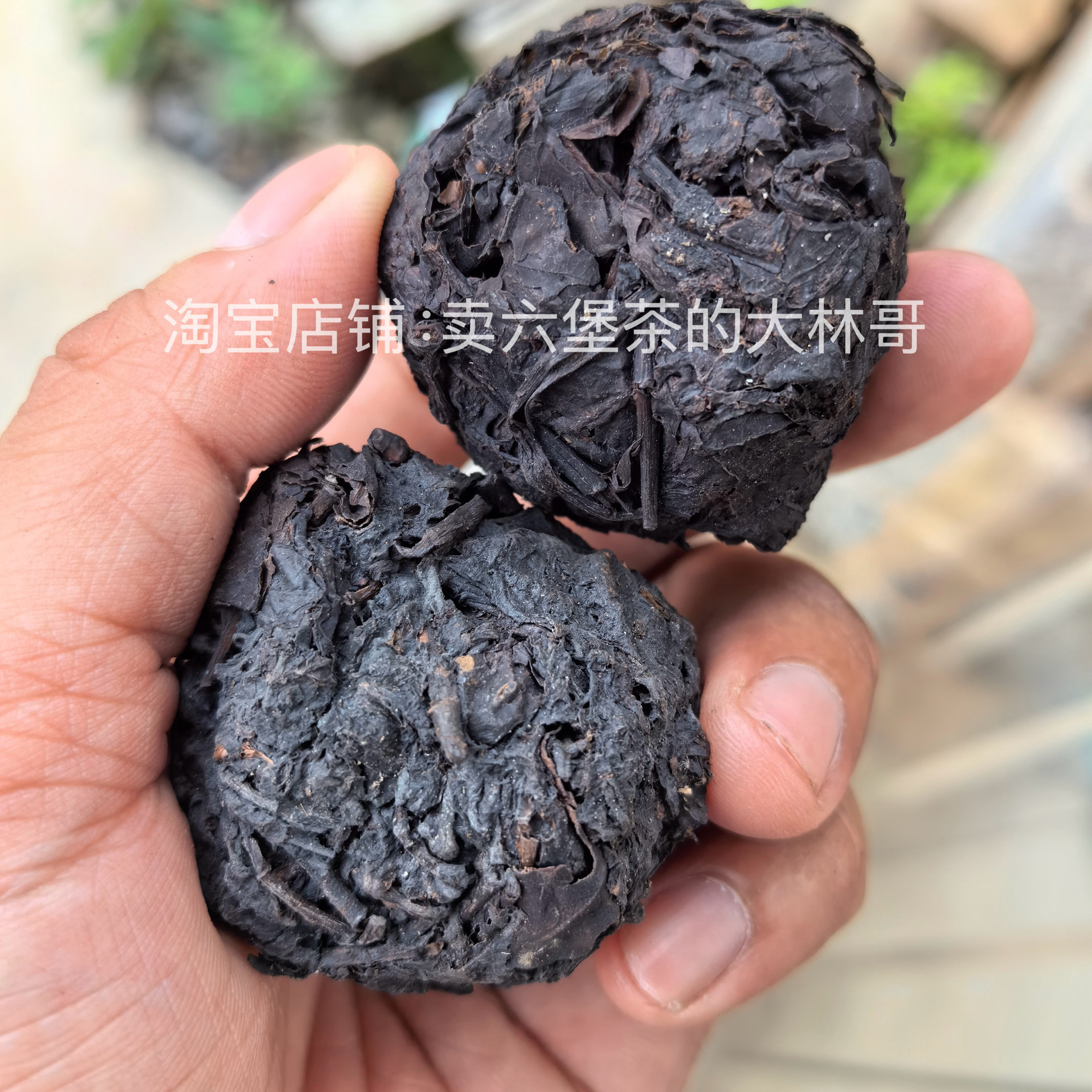 广西梧州特产六堡瑶乡手抓茶