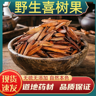 喜树果中药材喜树果野生喜树果千丈树水栗子天梓树野芭蕉旱莲干货
