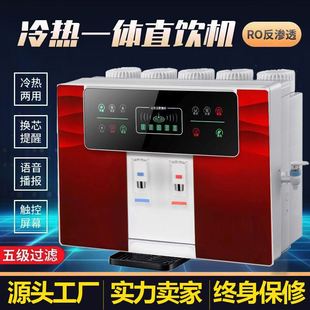 冰热一体净水器家用加热直饮纯水机厨房壁挂五级ro反渗透净水机