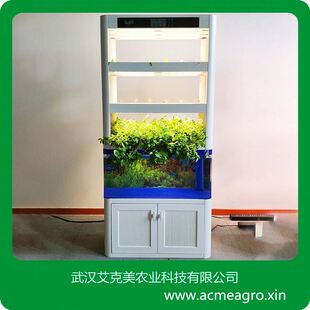农业家庭养鱼种菜柜鱼缸水培种植柜鱼菜共生蔬菜种植机无土栽培设