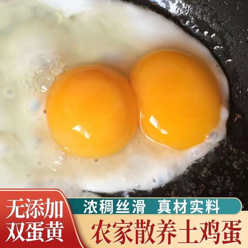 五谷喂养散养双黄鸡蛋现捡现发