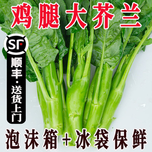 【顺丰包邮】新鲜大芥兰笋广东芥蓝菜应季蔬菜鸡腿芥兰杆白花甘蓝