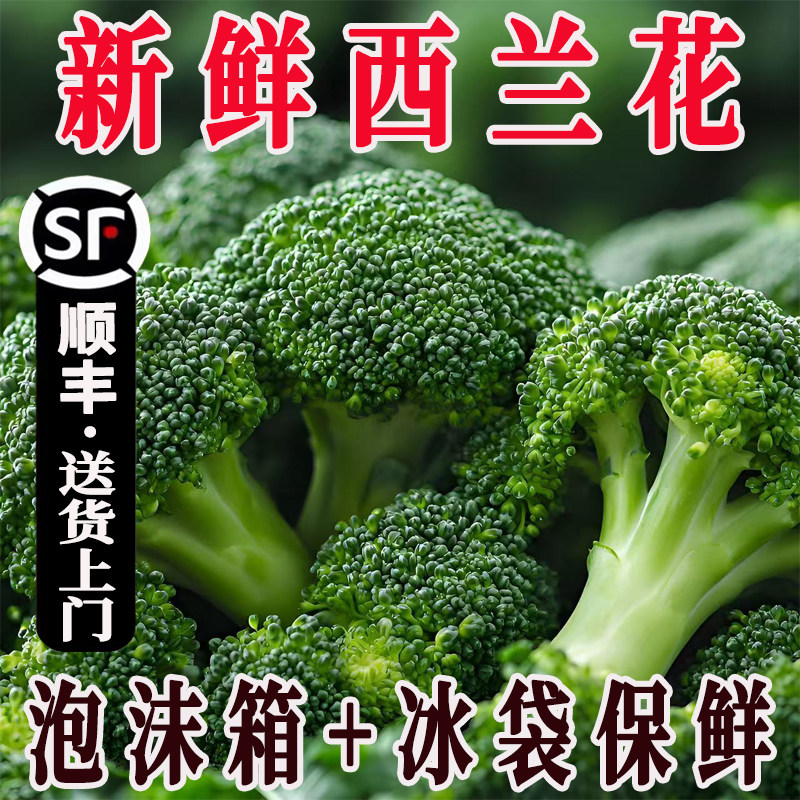 新鲜西兰花顺丰冷链包邮坏菜包赔