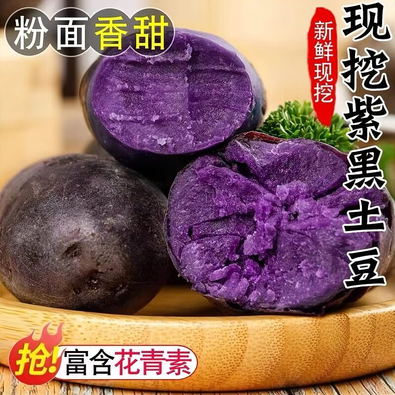 新鲜紫皮黑金刚大果土豆包邮