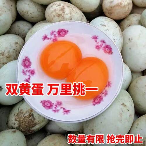新鲜双黄鸭蛋农家散养特大生鸭蛋草鸭蛋土鸭蛋麻鸭蛋青皮包邮