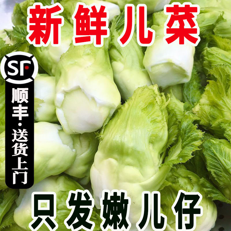 农家新鲜儿菜嫩儿仔顺丰冷链包邮