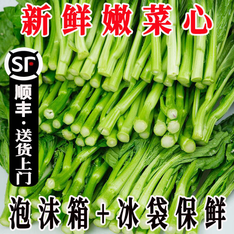 广东菜心新鲜广东菜花当季油菜心鲜嫩清甜新鲜蔬菜甜菜心菜苔绿叶