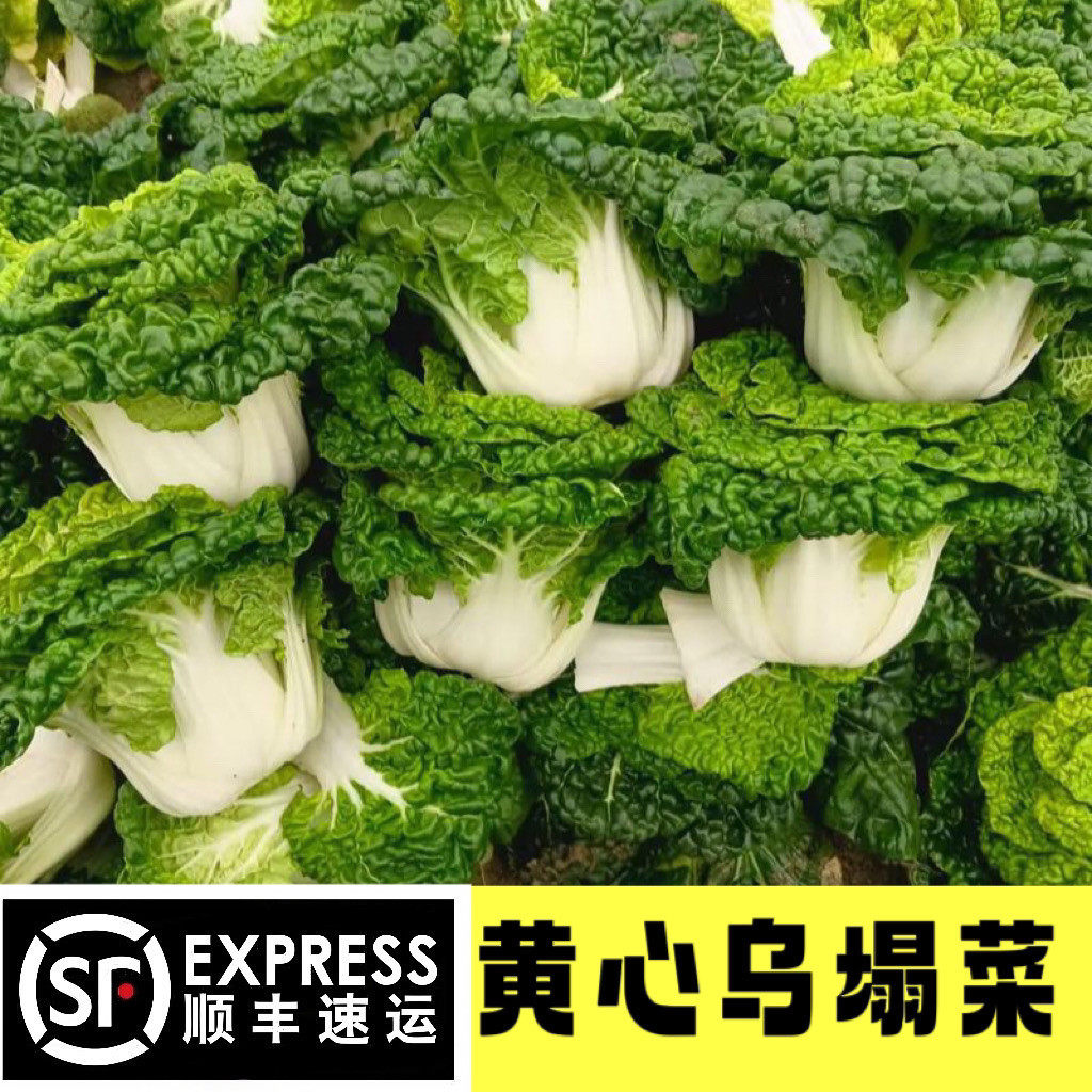 新鲜黄心乌顺丰冷链包邮