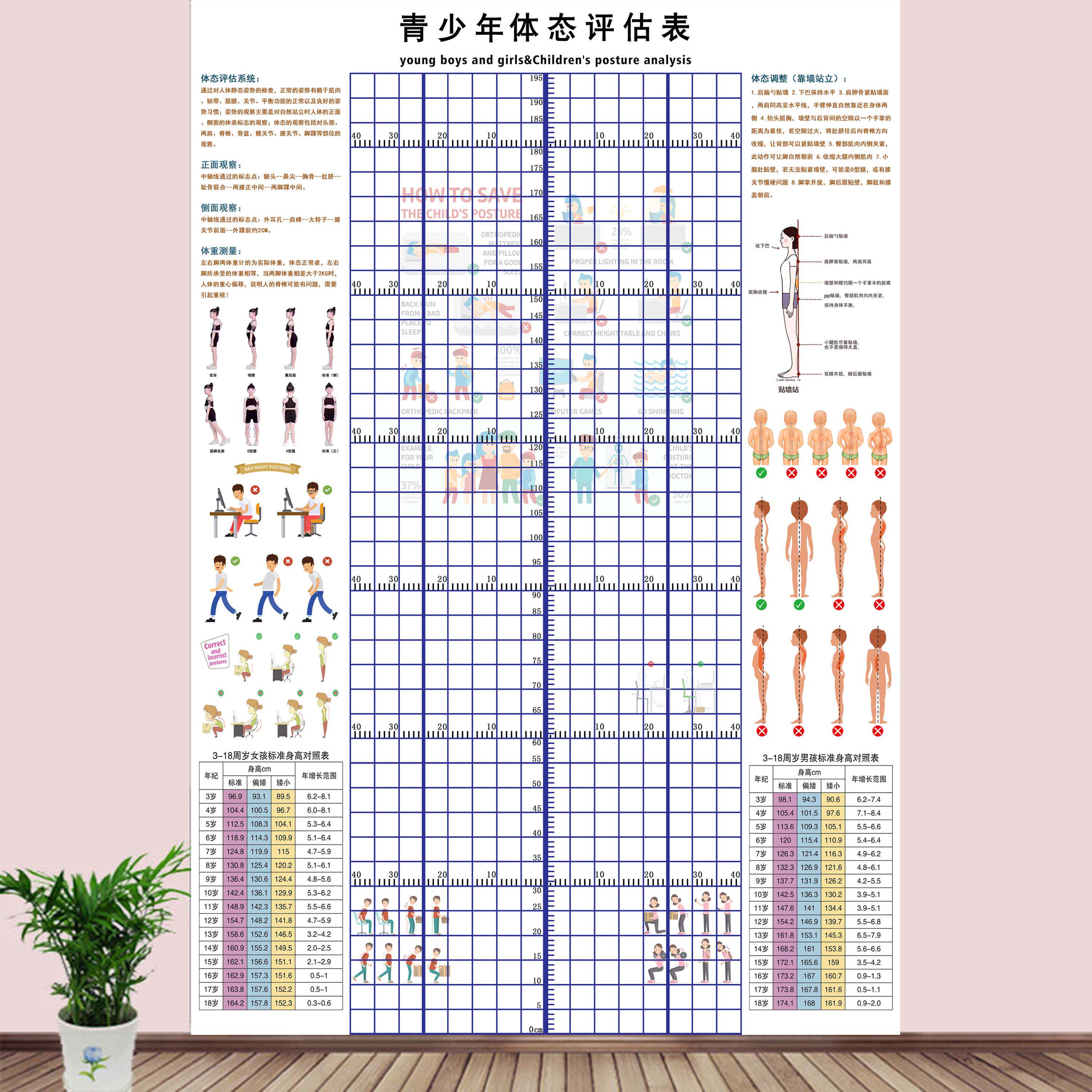 儿童体态评估图青少儿体姿体态评估表礼仪形体姿势矫正体测身高表
