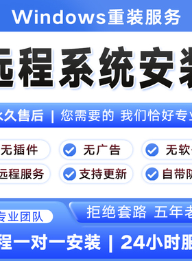 远程安装电脑系统重装win10/11/7纯净版专业版台式笔记本升级刷机