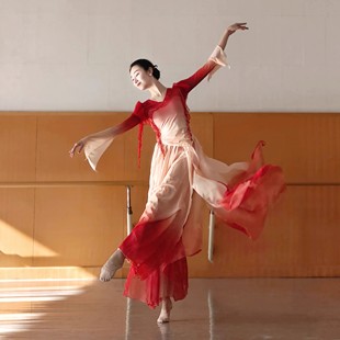 新款 古典舞仙气飘逸纱衣练功服中国舞演出服气质国风舞蹈服套装