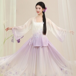 新款古典舞蹈服新中式宽松印花纱衣飘逸大摆裙中国舞古风演出服装
