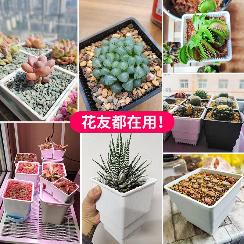 速发新款 控根多肉花盆大口径塑料肉肉石斛象方形大小号专用透气