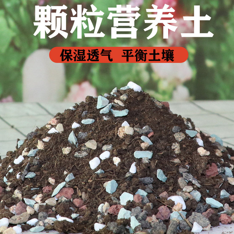 速发多肉植物肉养土泥炭多土肉土叶插换盆土多肉土多营颗粒土