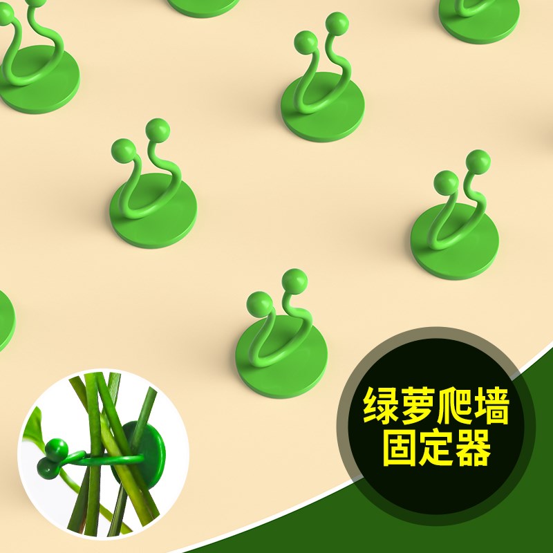 速发绿箩爬上神器爬藤植物固定架自固绿萝粘定器夹子卡钩挂扣藤蔓