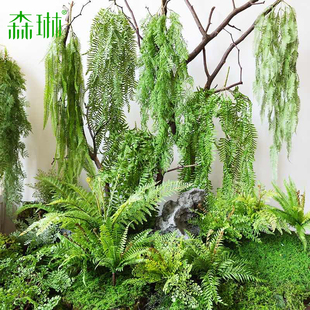 速发绿色蕨类植物肾蕨波斯饰热带叶林软胶植物墙面装雨景观造景草