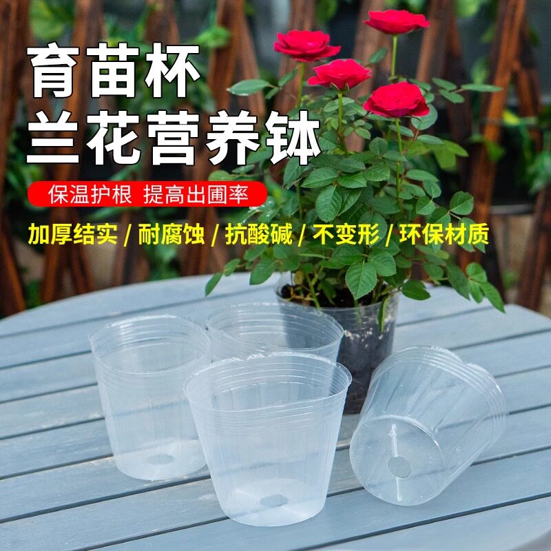 速发营养杯石透兰育苗兰明塑料盆营养钵种植杯兰花栽培花盆蝴蝶斛