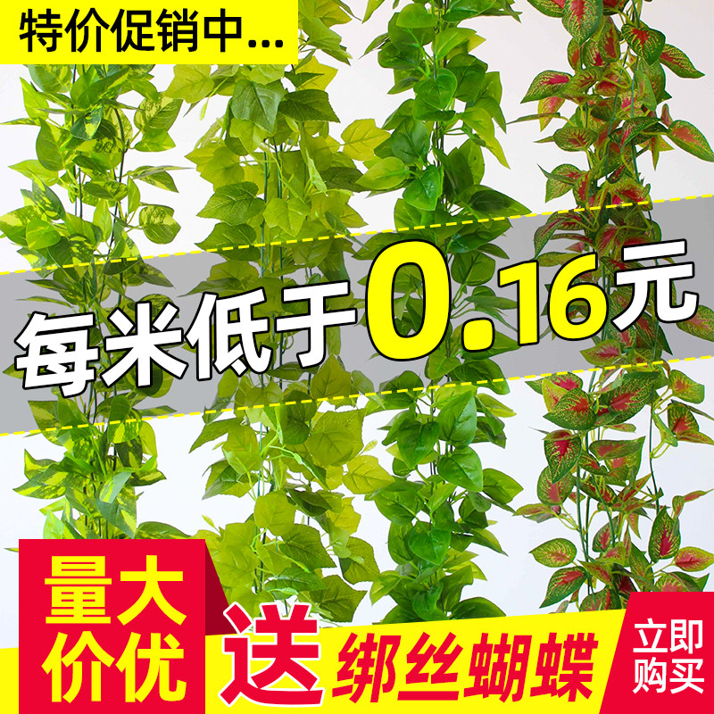 速发藤条葡萄叶装饰假花藤蔓管缠道绕绿吊植顶树叶塑料爬山虎绿叶