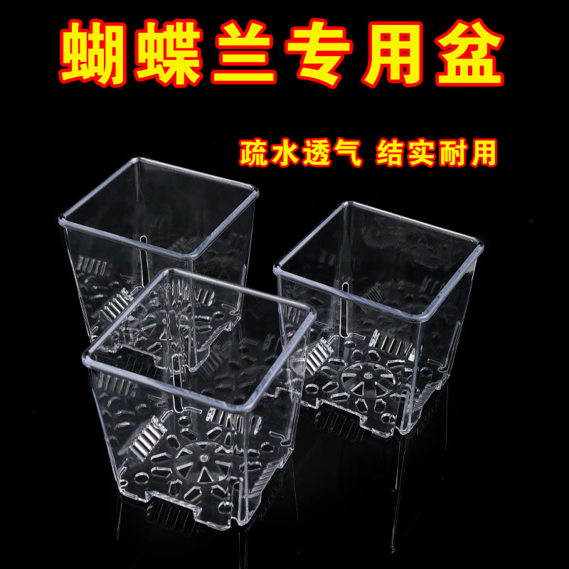 速发透蝶兰专用控杯花盆蝴明透气塑料根网镂空文心兰石斛种植底盘