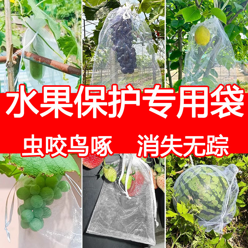 速发果树防虫网袋防鸟纱无袋保护葡萄榴网花果番石袋草莓套袋桃子