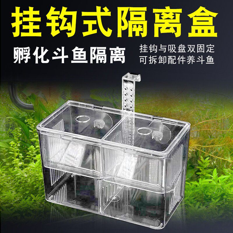 速发挂钩式产雀鱼繁殖盒鱼缸孵化盒隔离盒热带鱼孔卵孵化产房鱼苗图片