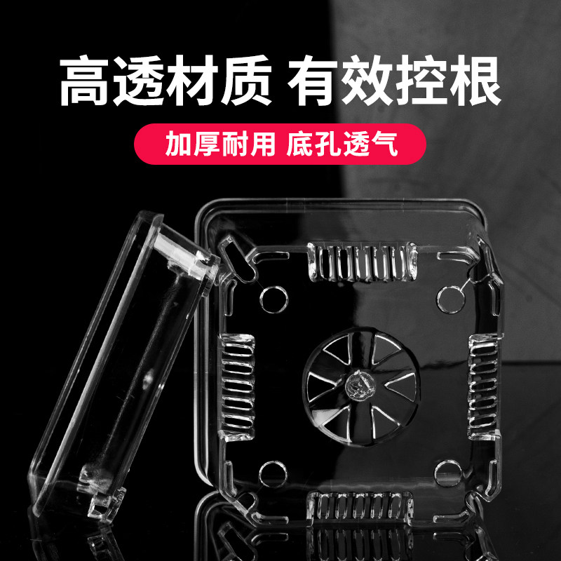 速发高透明蝴蝶兰种植花盆方形塑料带托桌透气兰科花盆孔面送底盘