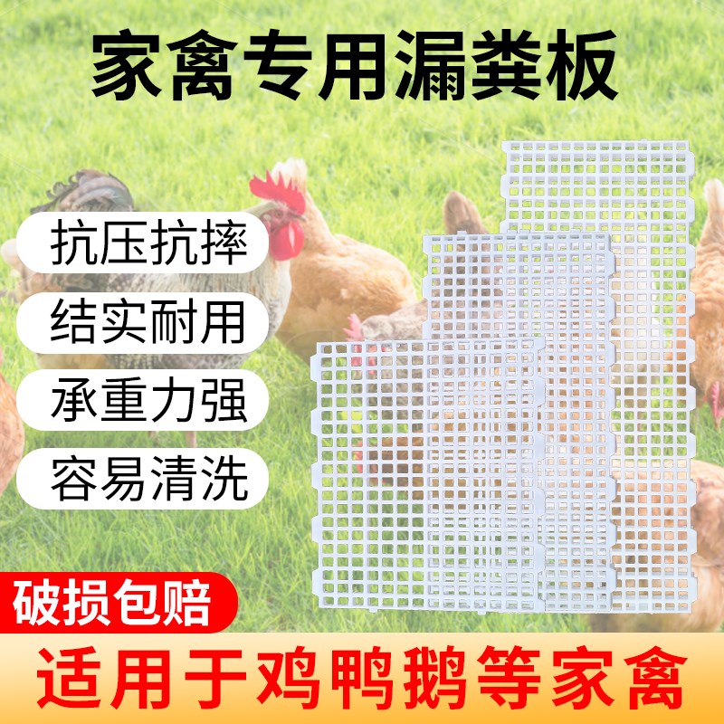 速发鸡用漏粪板家鸡禽舍塑料养鸡用漏鸭鹅鸡窝鸡笼漏屎地垫网板品