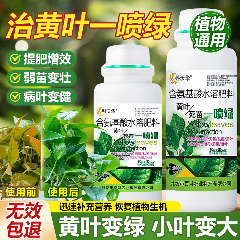 速发苗喷绿基面肥黄叶死一氨叶酸草坪增绿叶绿素水溶喷施保花保果