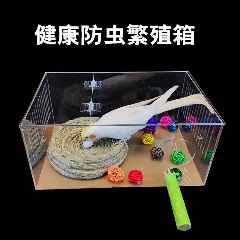 速发亚克透明力鹦鹉繁殖箱玄凤虎皮牡丹鸟类孵化箱鸟巢箱鸟房挂窝