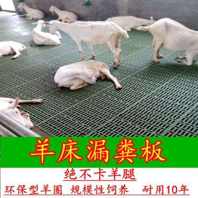 羊床漏粪板塑料羊床板养羊钢网竹板羊床养殖场量大规模