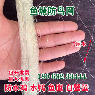 鱼塘防鸟网大网眼尼龙综丝纱网防鸟用的网泥鳅塘天网养殖网螃蟹网