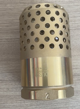 全铜网铜底阀吸水泵弹簧立式止回阀防倒流立式底阀DN20dn25井底阀