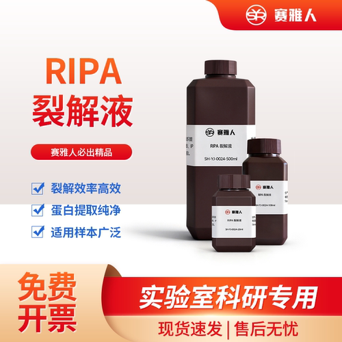 RIPA裂解液强弱型WB/IP