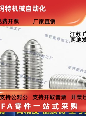 BJFS球头柱塞C-BPK BPM3 4 5 6 8 10 12 16 20P