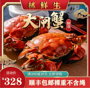 【现货10只】兴化大闸蟹公蟹4两 母蟹3两【足两】 10只螃蟹礼盒装