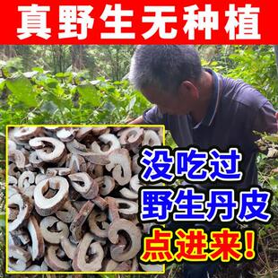 爷爷挖 深山纯野生牡丹皮250g中药材片饮黄芪红花丹皮果牡丹根